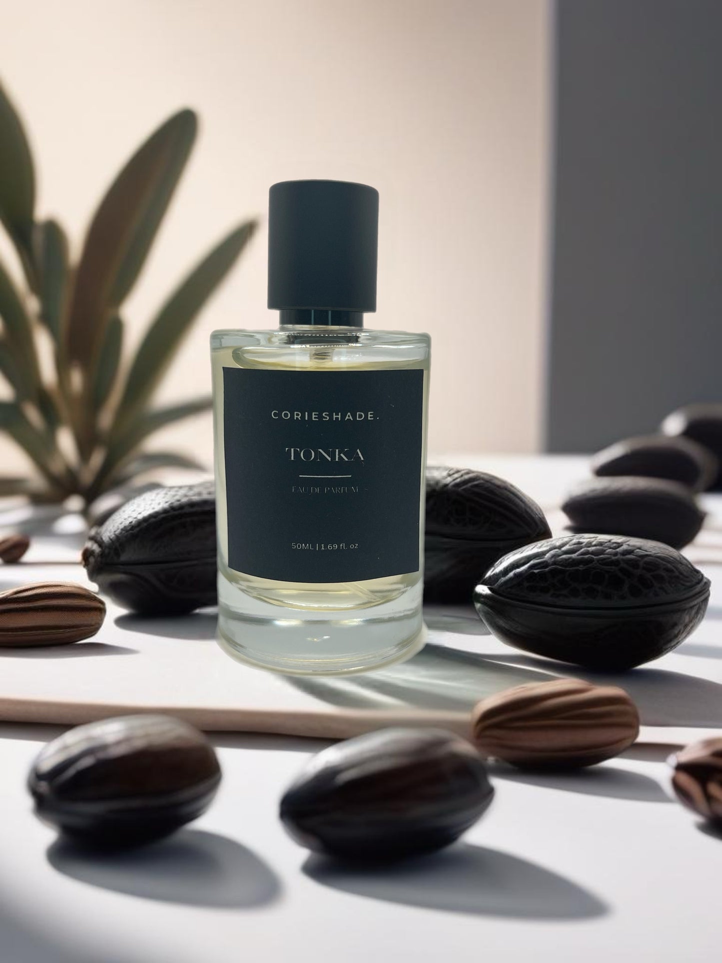 Tonka for Him Inspired by Bvlgari Man Bvlgari - EDP